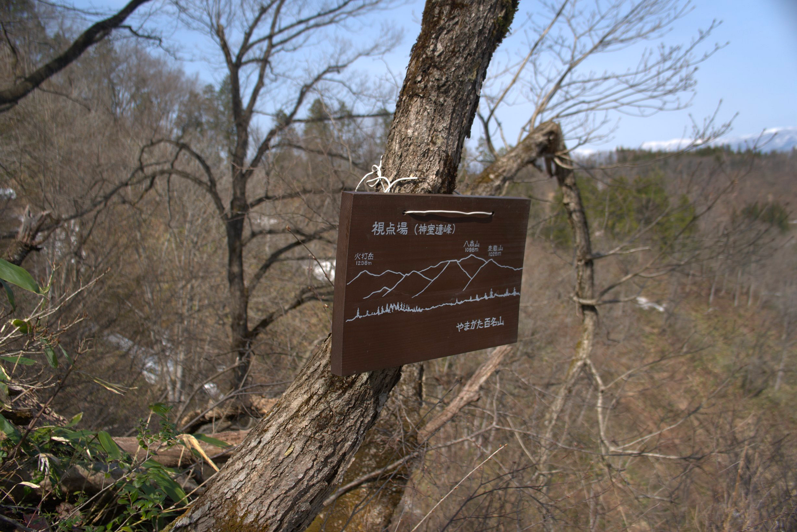 A sign on a tree along the path of Mt. Yamuki that shows the names of the surrounding mountains