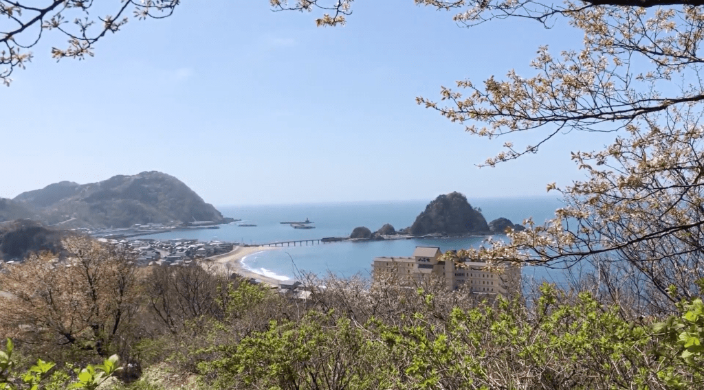 Hakusan Island and Yura can be seen in the distance with sakura cherry blossoms in the foreground