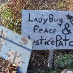 uc gill tract farm berkeley transition