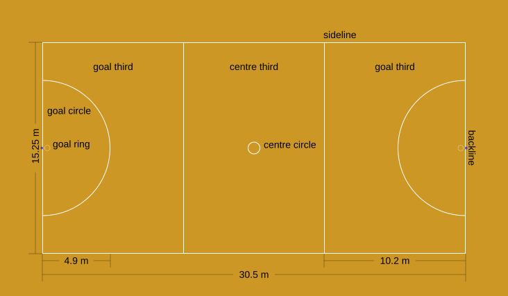 Sport in New Zealand — Netball – New Zealand thoughts – Medium