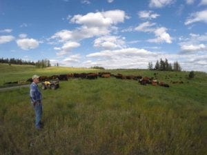 workaway horizon transition ranch
