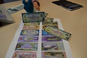 salt spring dollar