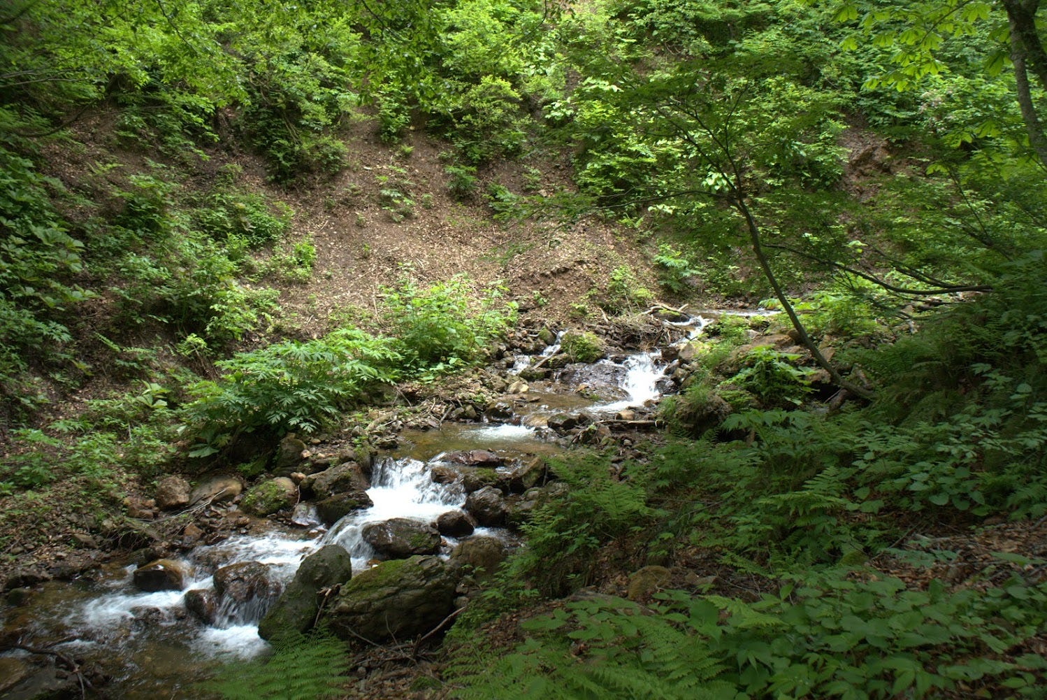 The Oashizawa River of Yozo-san