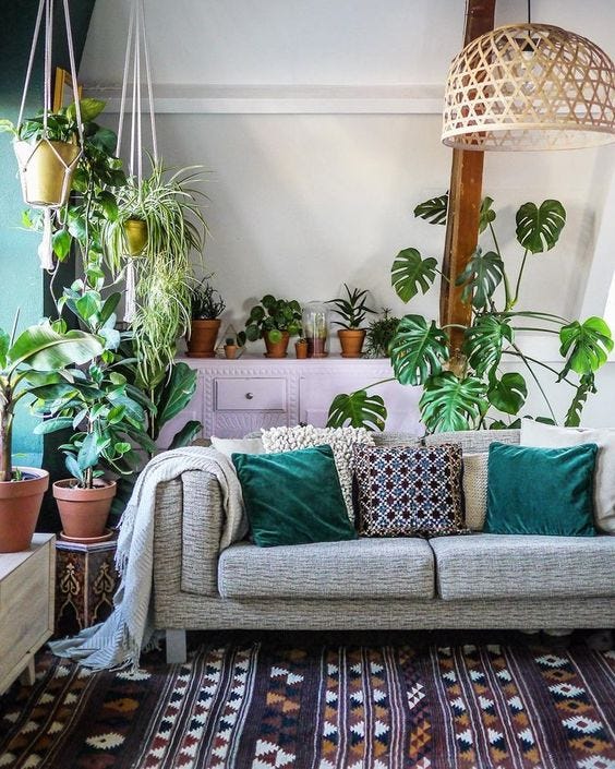 Welcome to the Jungalow Four Essentials for Dreamy Modern Welcome to the Jungalow Four Essentials for Dreamy Modern