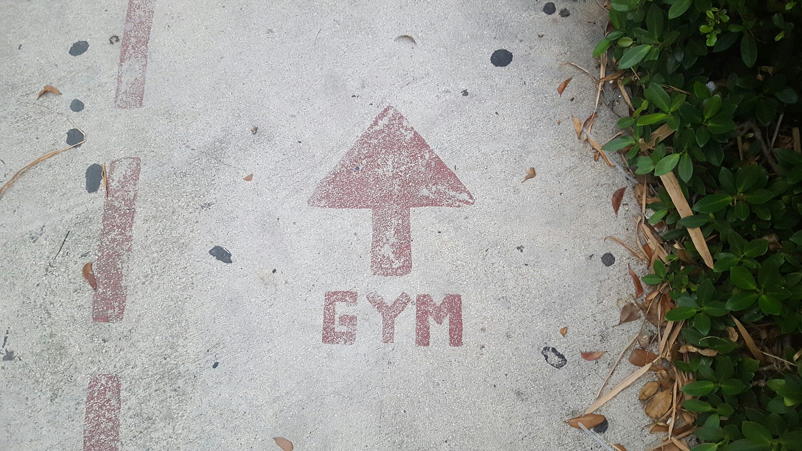 Paing on a sidewalk, reading “GYM” with an arrow above it pointing forward.