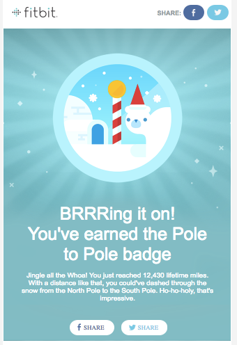 Pole to Pole Badge