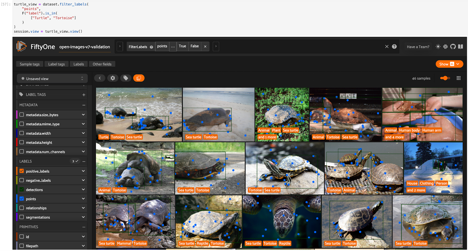 View of point labels and positive classification labels for images of turtles and tortoises in the Open Images V7 validation split. Image by author.
