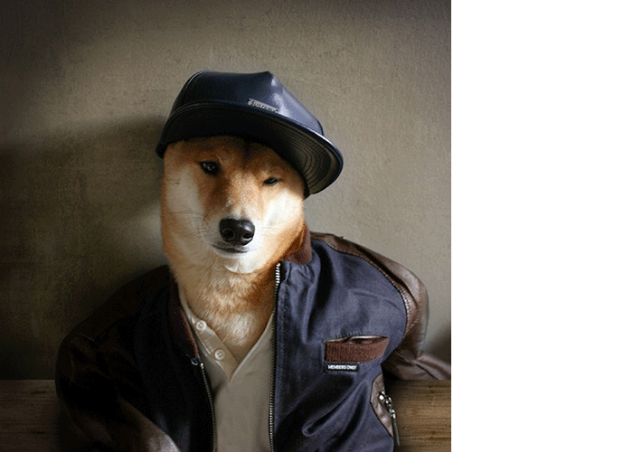A Fashion Lesson for SF With Special Guest Menswear Dog