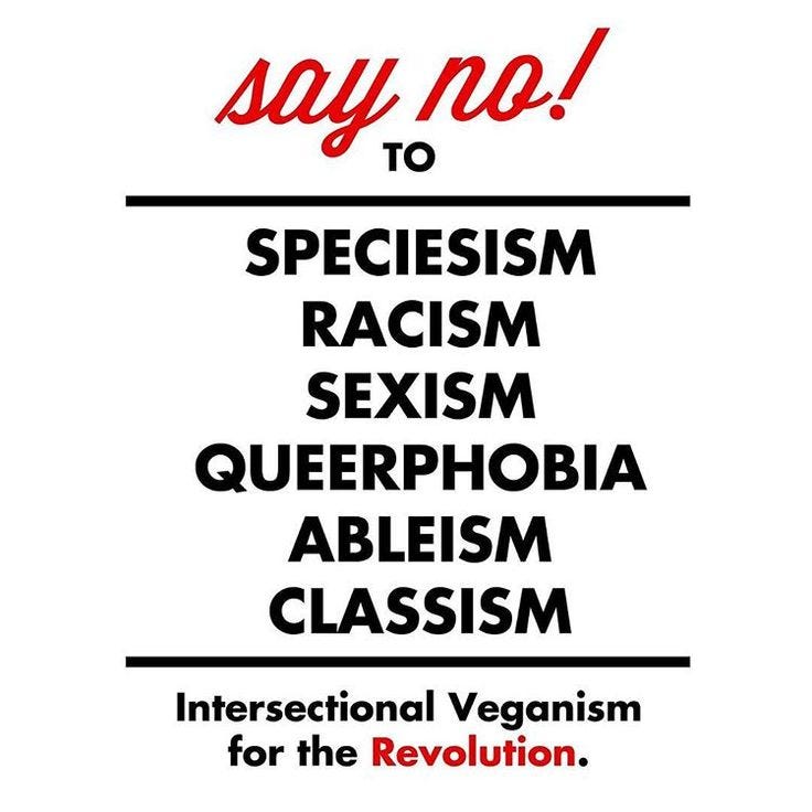 Image result for intersectional veganism