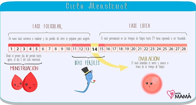 Menstrual Calendario Dias Fertiles Menos