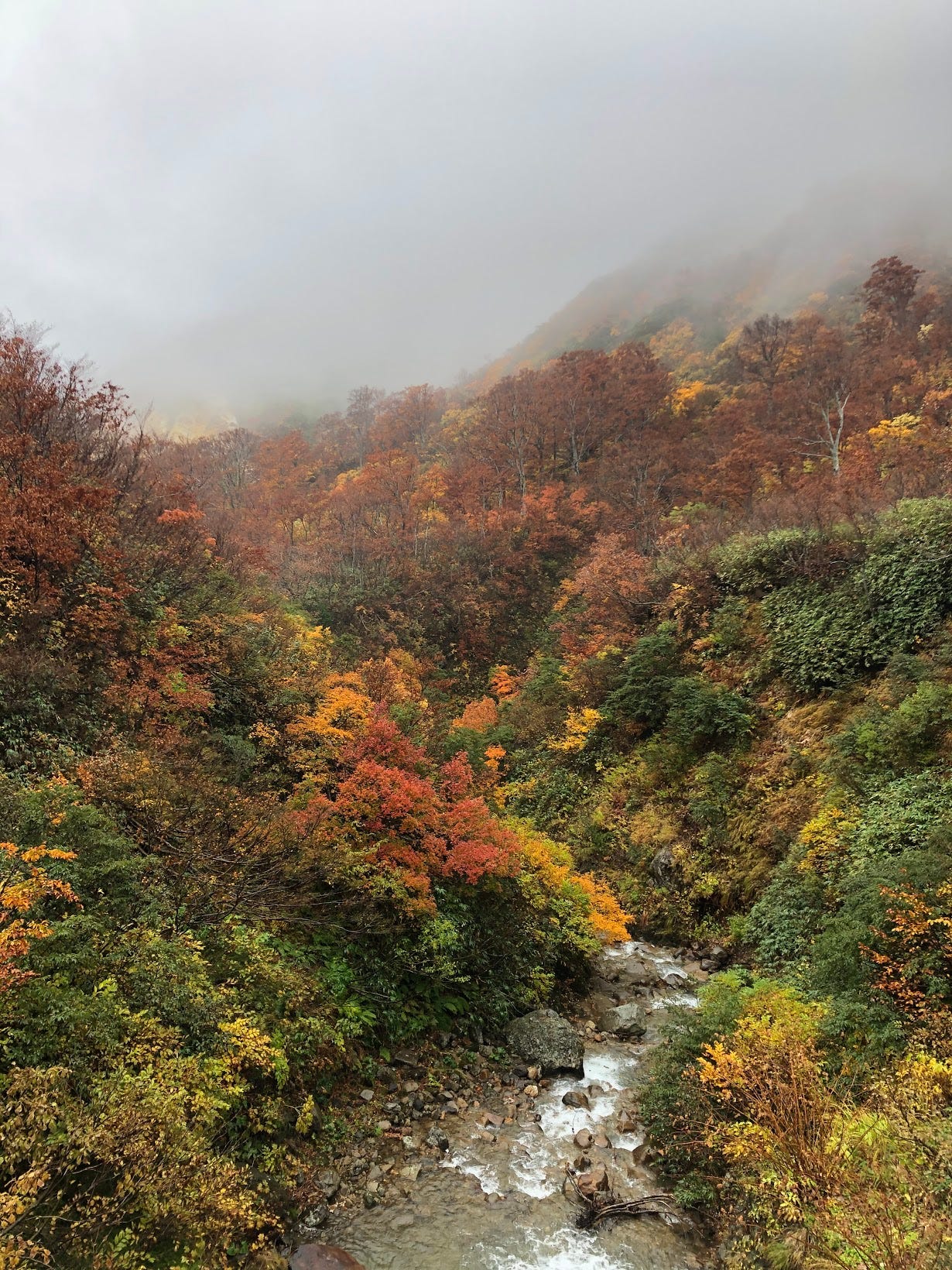 A river flows amongst the autumn foliage on Mt. Yudono. This river gets completely covered with snow in the winter.