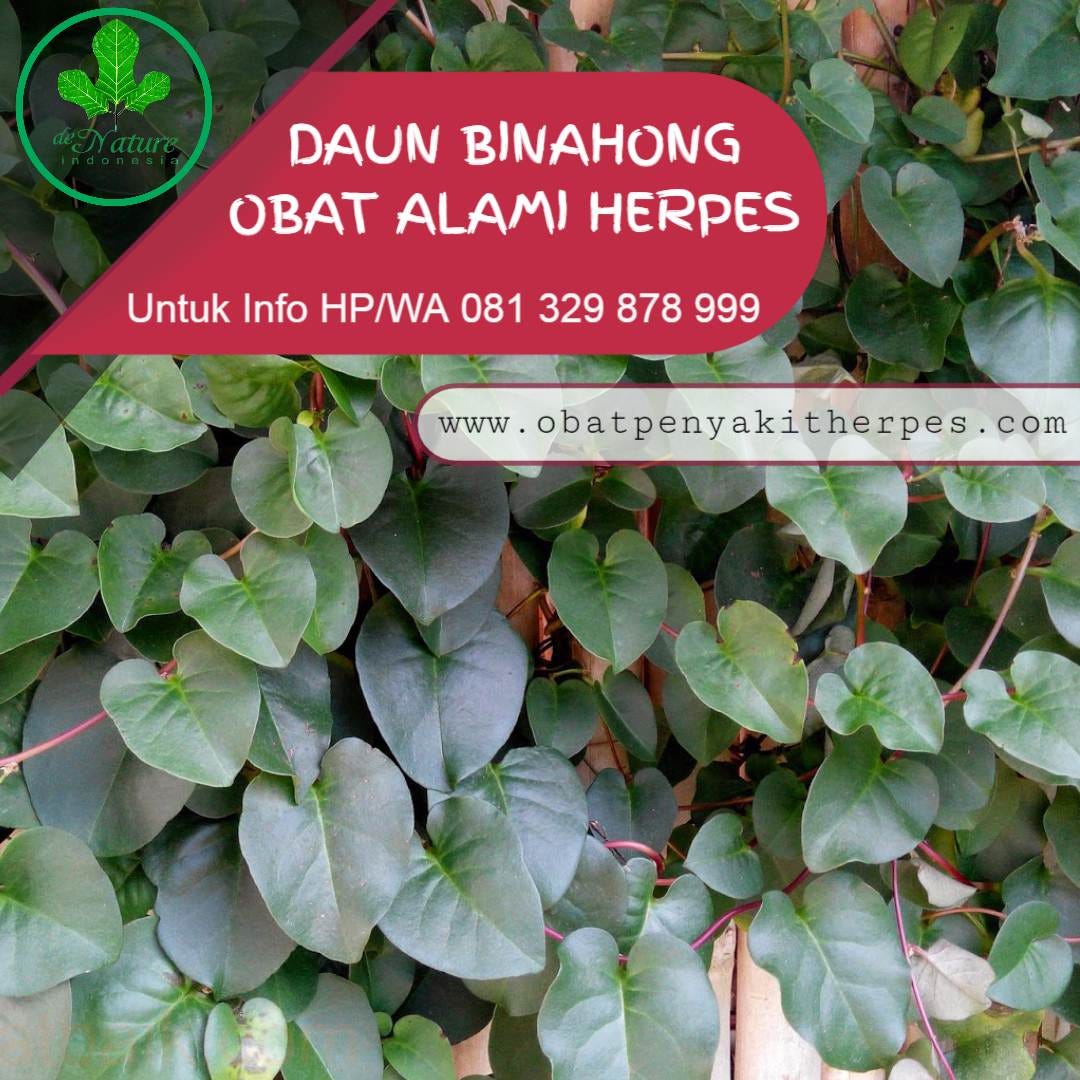 Obat Cacar Api Obat Penyakit Herpes Medium