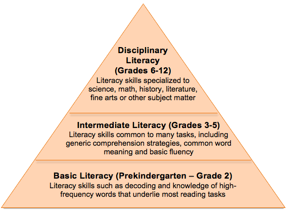 Disciplinary Literacy: Are We Testing for It in Our Schools?