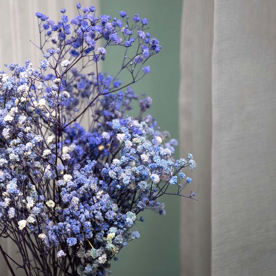 The Bride's Guide to Dried Baby's Breath: A Timeless Elegance in Wedding Decor