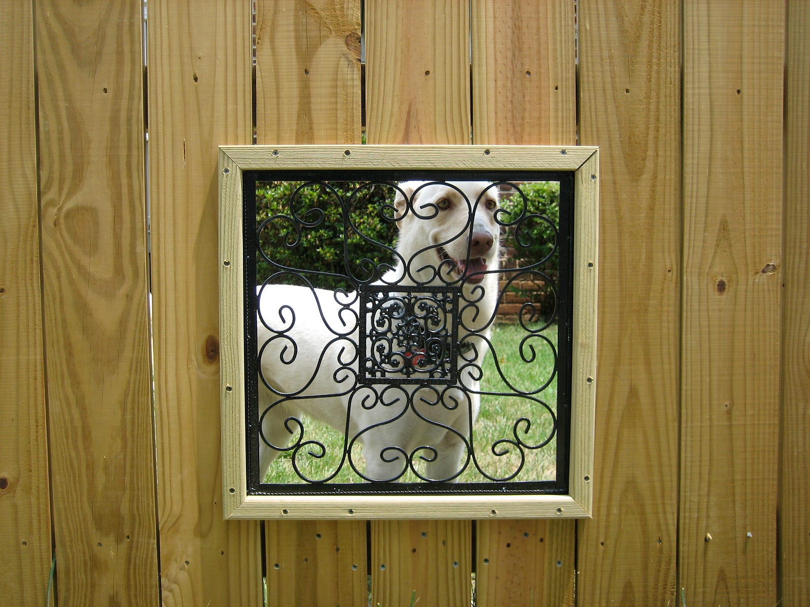 Fence windows Kristin Kelly Medium