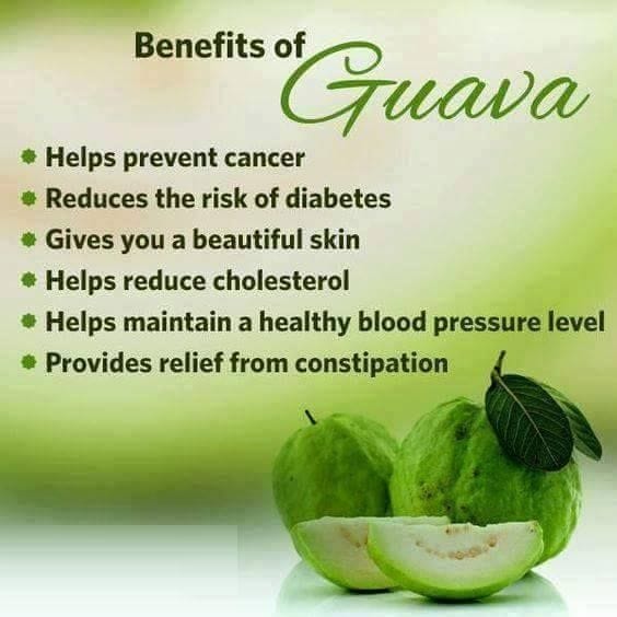 15 Best Benefits & Uses Of Guava Leaves – Guava Leaf Tea – Medium