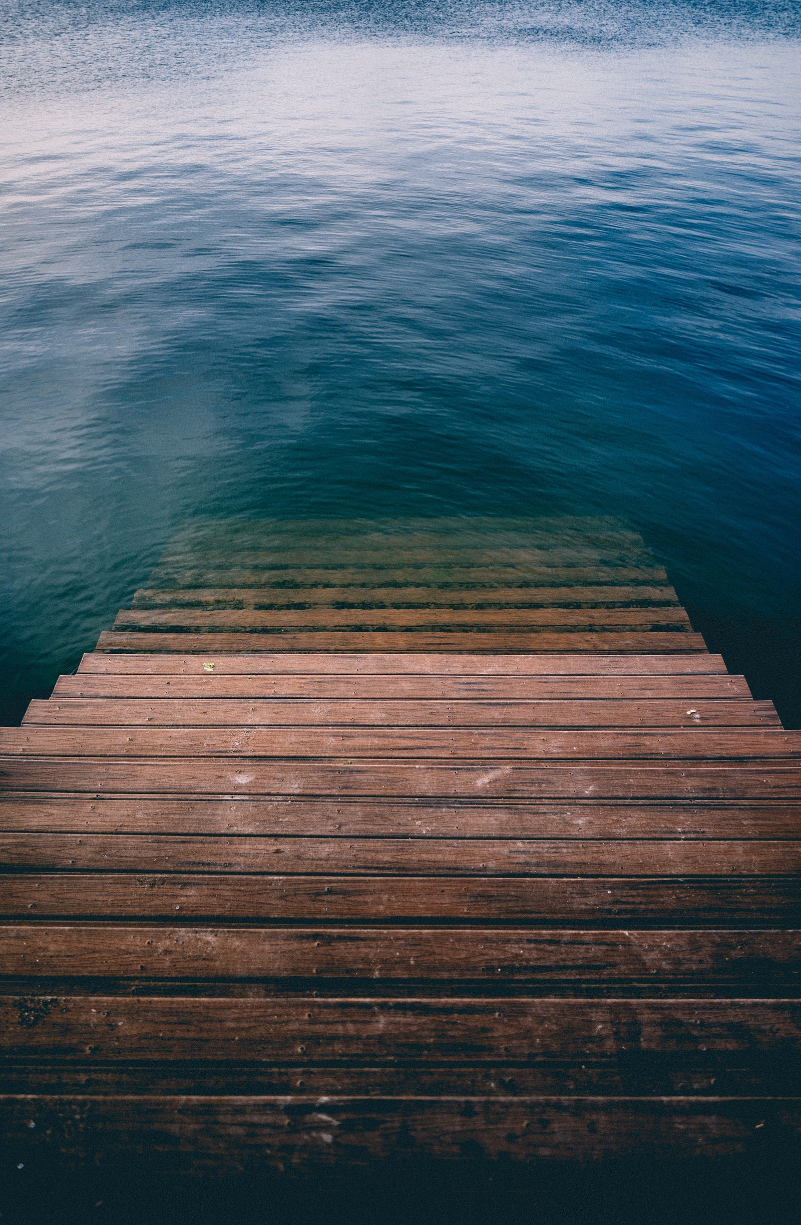 Wooden stairs descend steeply into a body of water. Researchers recently reported that daily climbing of more than five flights of stairs was associated with over a one-fifth lower risk of atherosclerotic cardiovascular disease (ASCVD).
