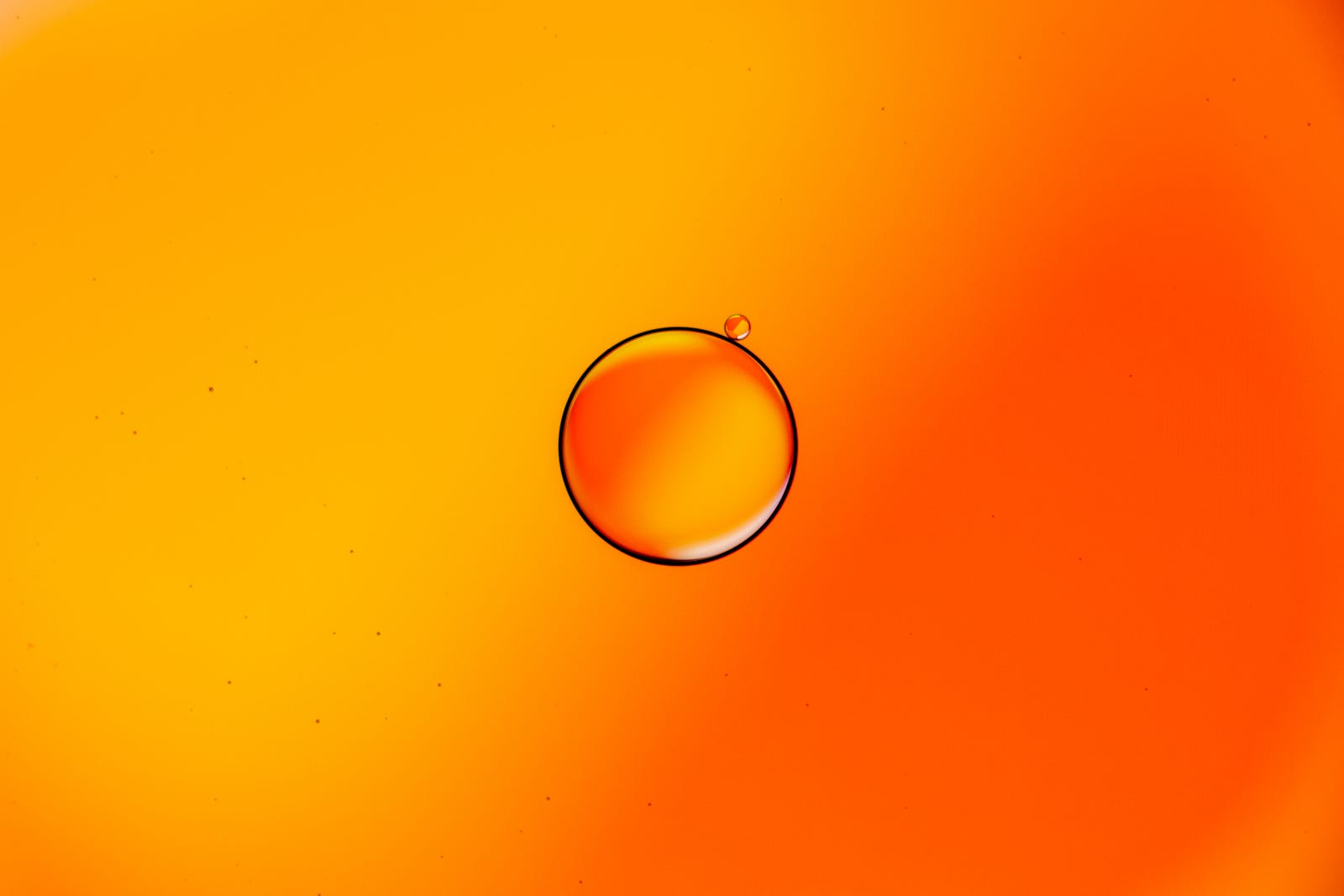 A close-up of a single drop of olive oil, with the oily bubble sitting on an orange background. Olive oil consumption is associated with better heart health.