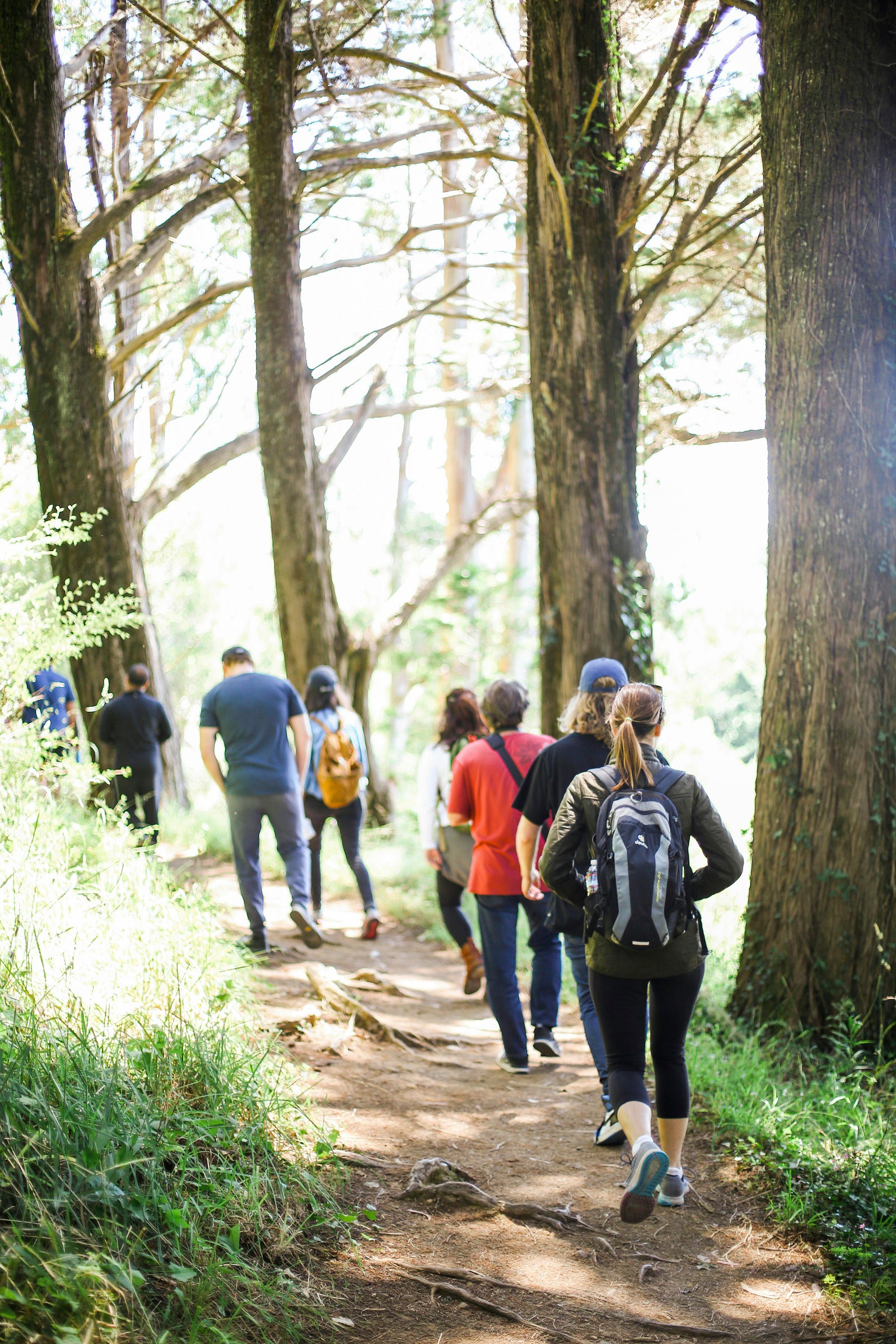 Eight people hike away from us in the woods.