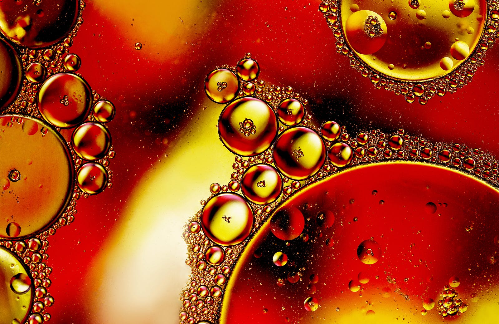 A close-up of olive oil, with oily bubbles sitting on a red and yellow  background. Olive oil consumption is associated with better heart health.