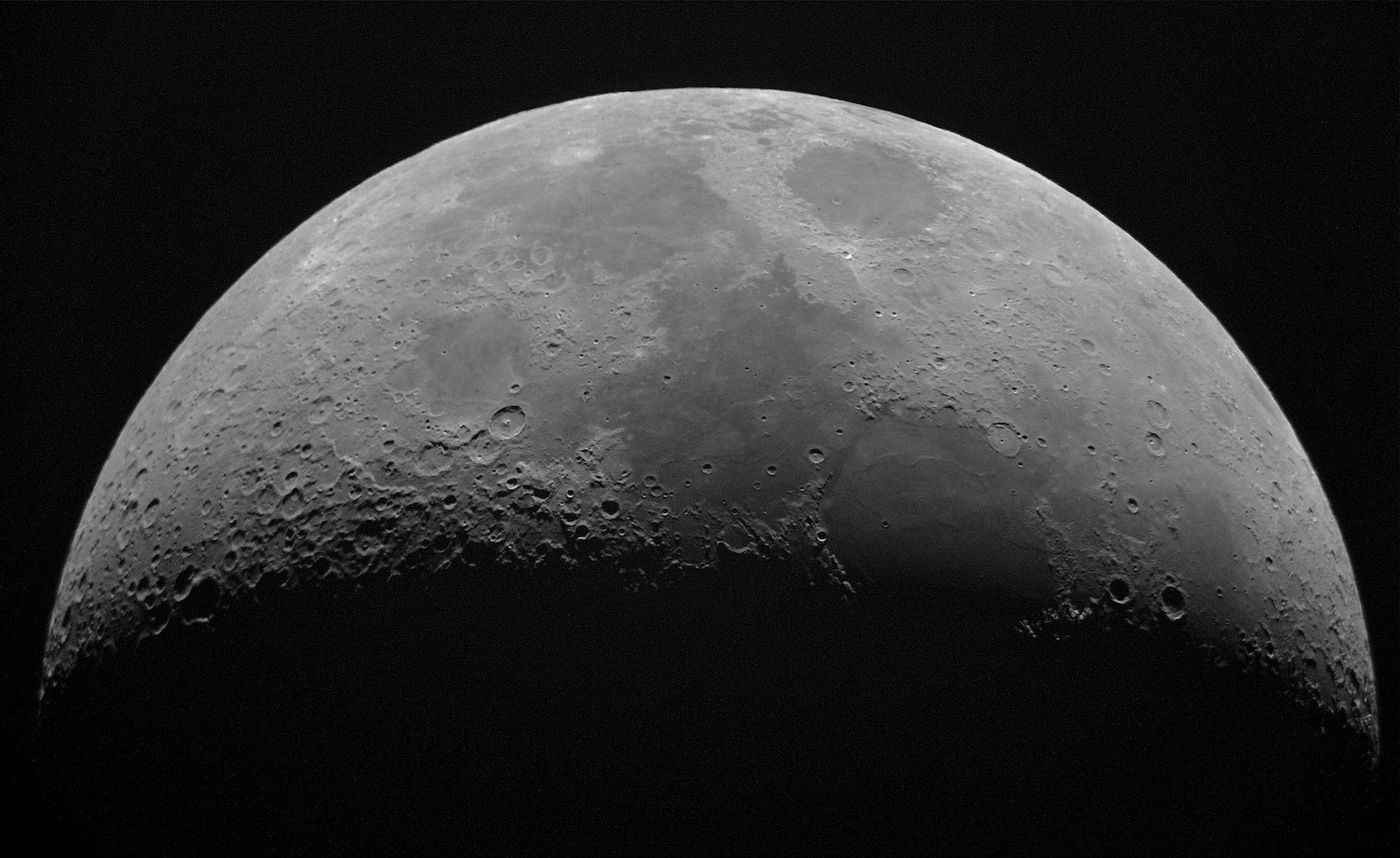 A black and white image of the top three-quarters of the moon. Biological clocks are the natural timing devices of organisms. They regulate our circadian rhythms. Biological clocks are made of proteins that interact with other cells in the body. The genes that compose the clocks’ molecules are similar in people, mice, fruit flies, fungi, and other organisms.