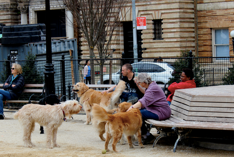 Washington Square Park Reveals Renovations (Bathrooms, A Playground ...