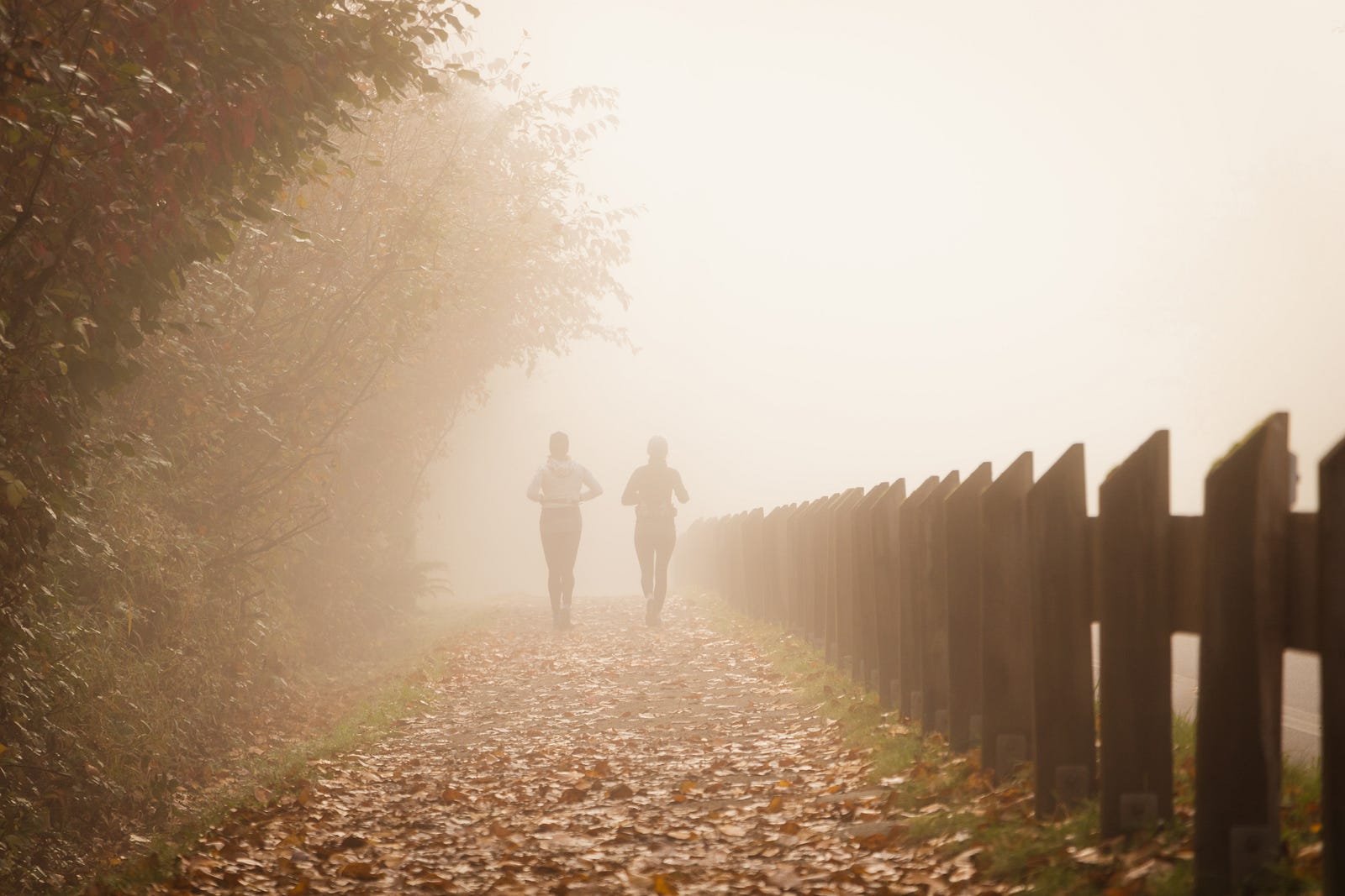 Two people run away from us in the distance in a sepia image. There is a wooden fence to their right and shrubs to their left. The day appears foggy. Studies have also shown intermittent fasting can lead to weight loss and improve metabolic health markers, such as insulin sensitivity and cholesterol levels.