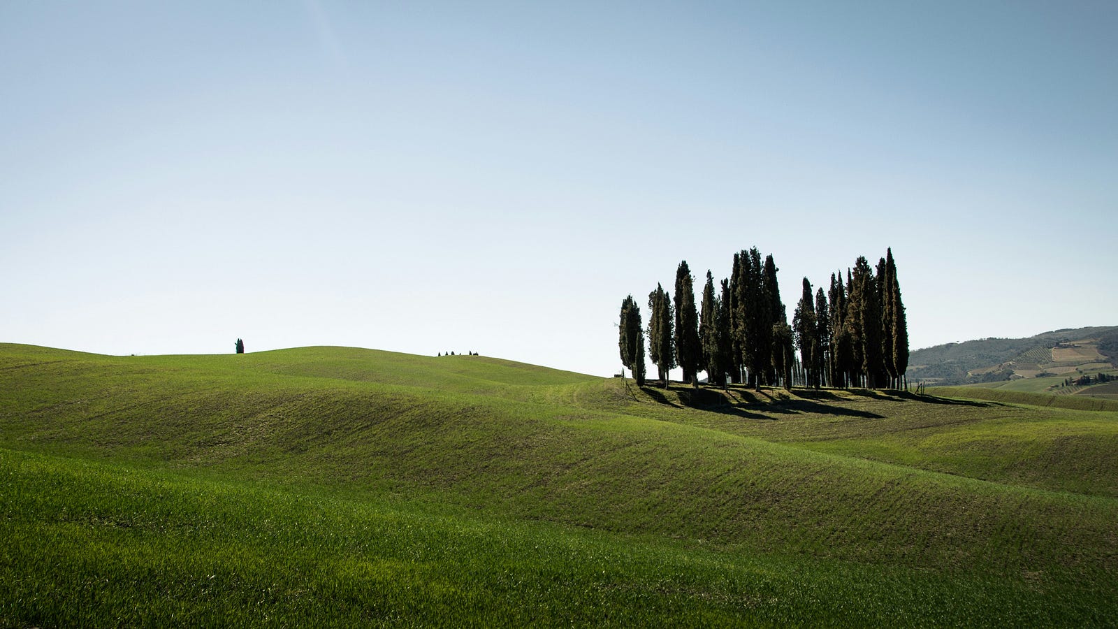 A gentle grassy hill, a prime target for a stroll.