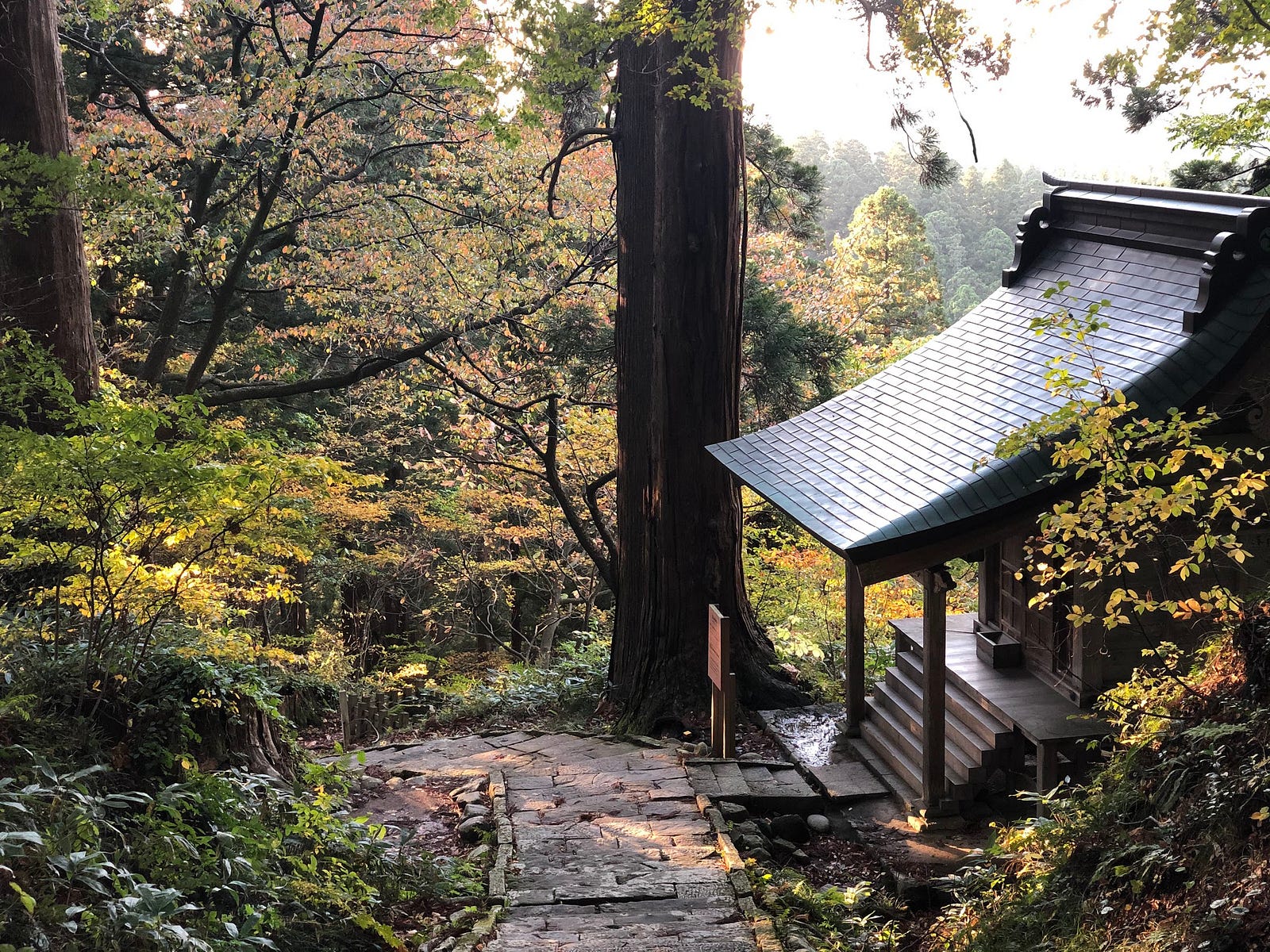 A massha shrine basks in the yellow autumn light alongside the stone stairway of Haguro-san.