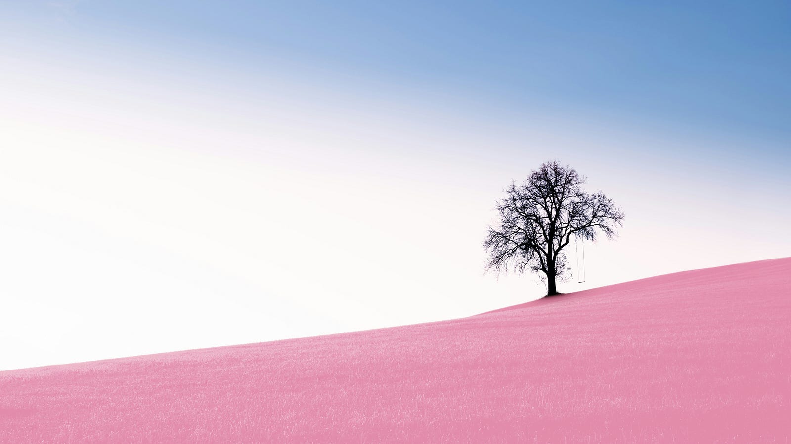 A hill, colored in pink, with a lone leafless tree.