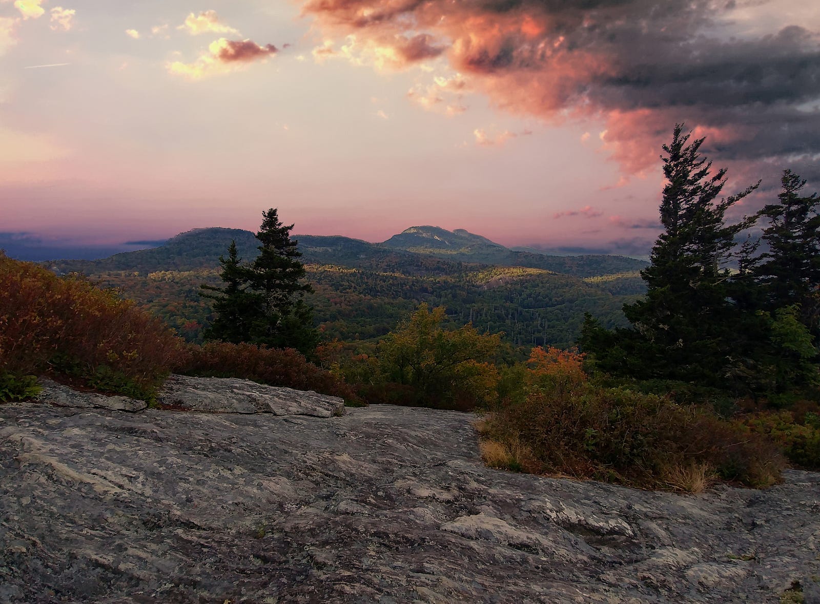 Senate races 2020 North Carolina Peter Flom — The Blog Medium