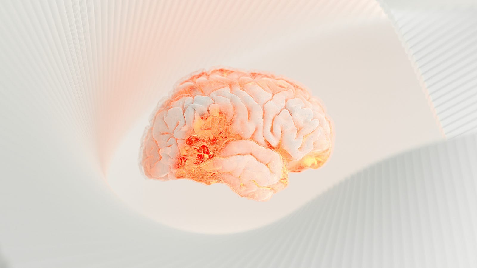 An illustration of a brain (sagittal view).