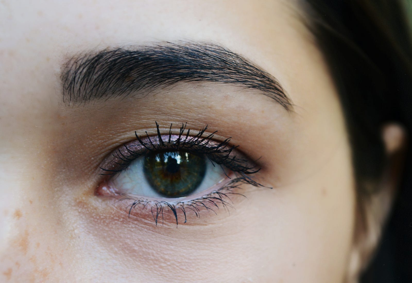 close-up of an eye and eyebrows