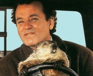 groundhog day