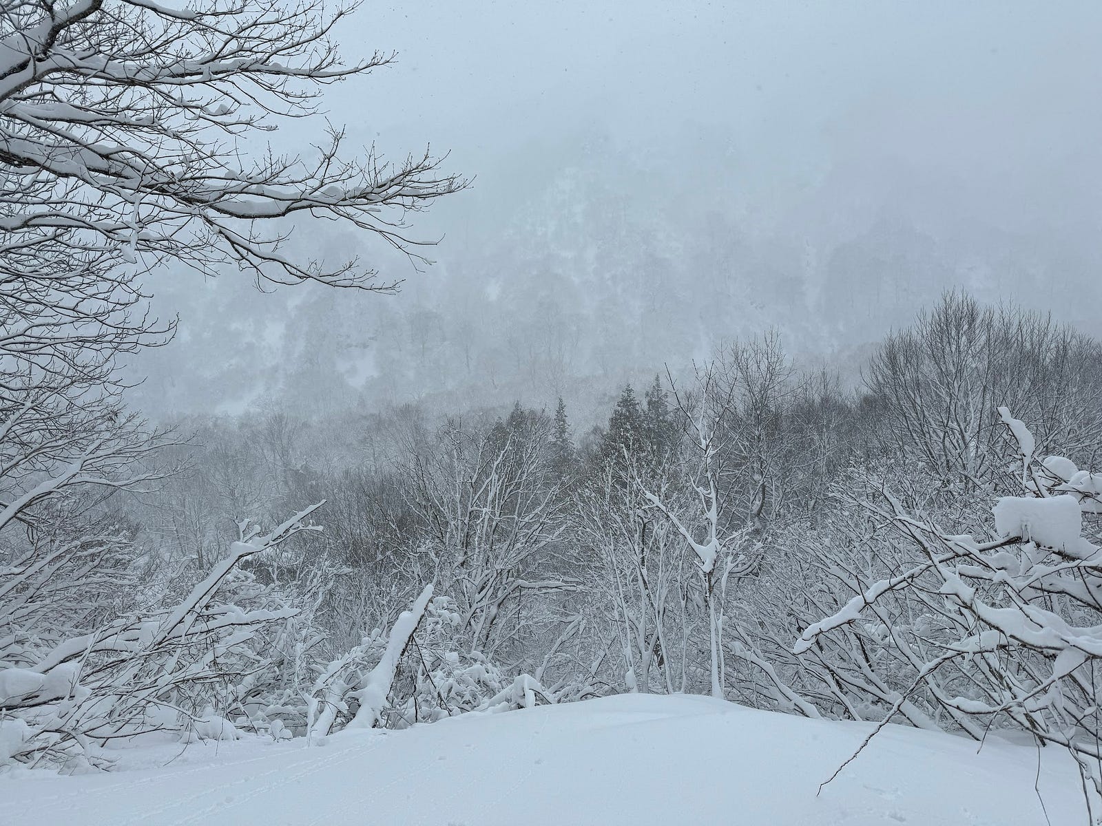 A foggy mountain completely inundated with snow in the background near Shirotaro-yama in Yamagata Prefecture.