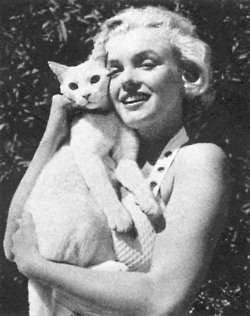 Marilyn holding a cat