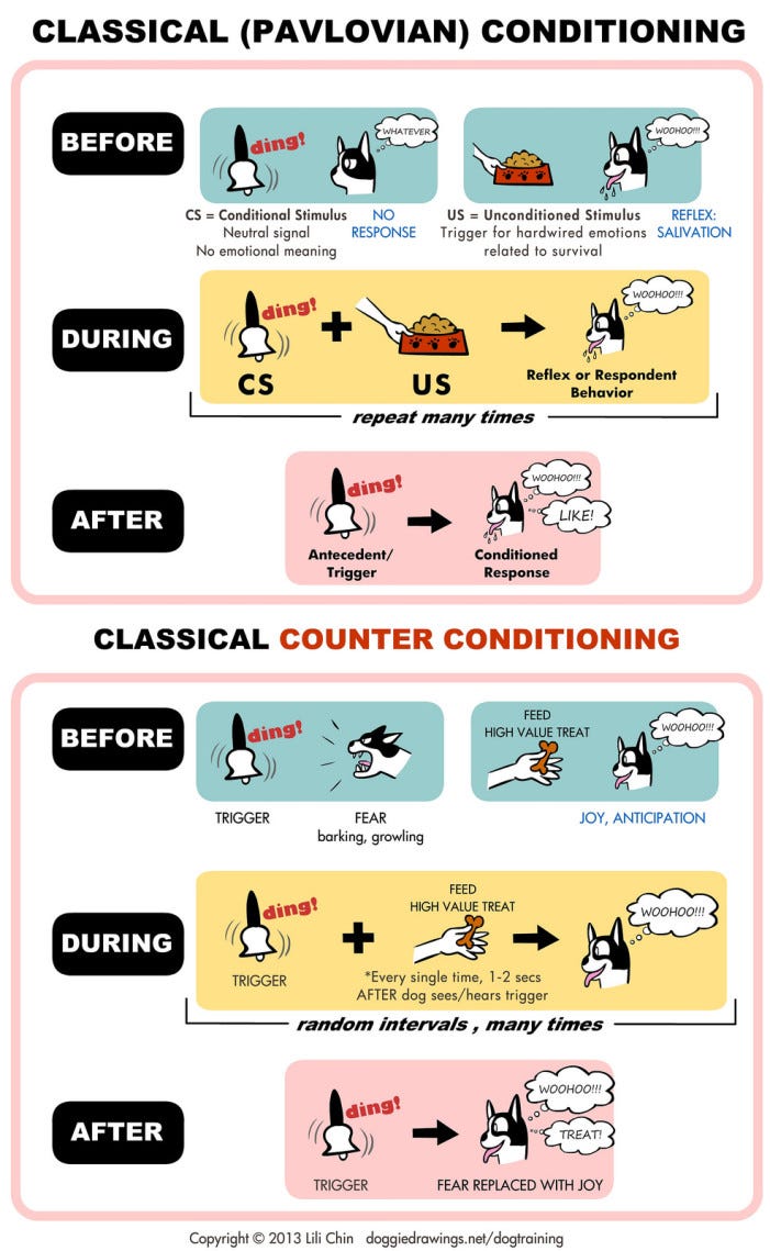 classical-conditioning-and-operant-conditioning-explained