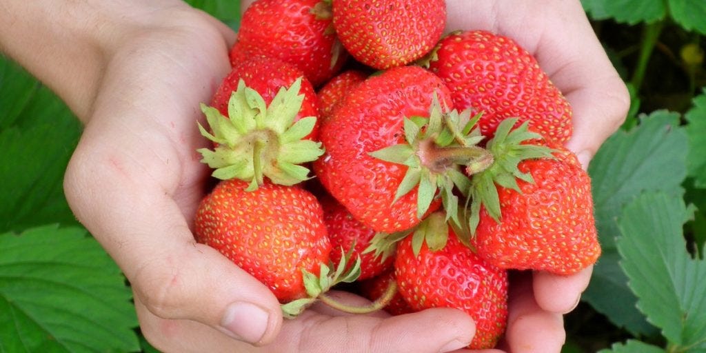 How To Boost Your Immune System - The Sweet Clean Living Beginner's Guide