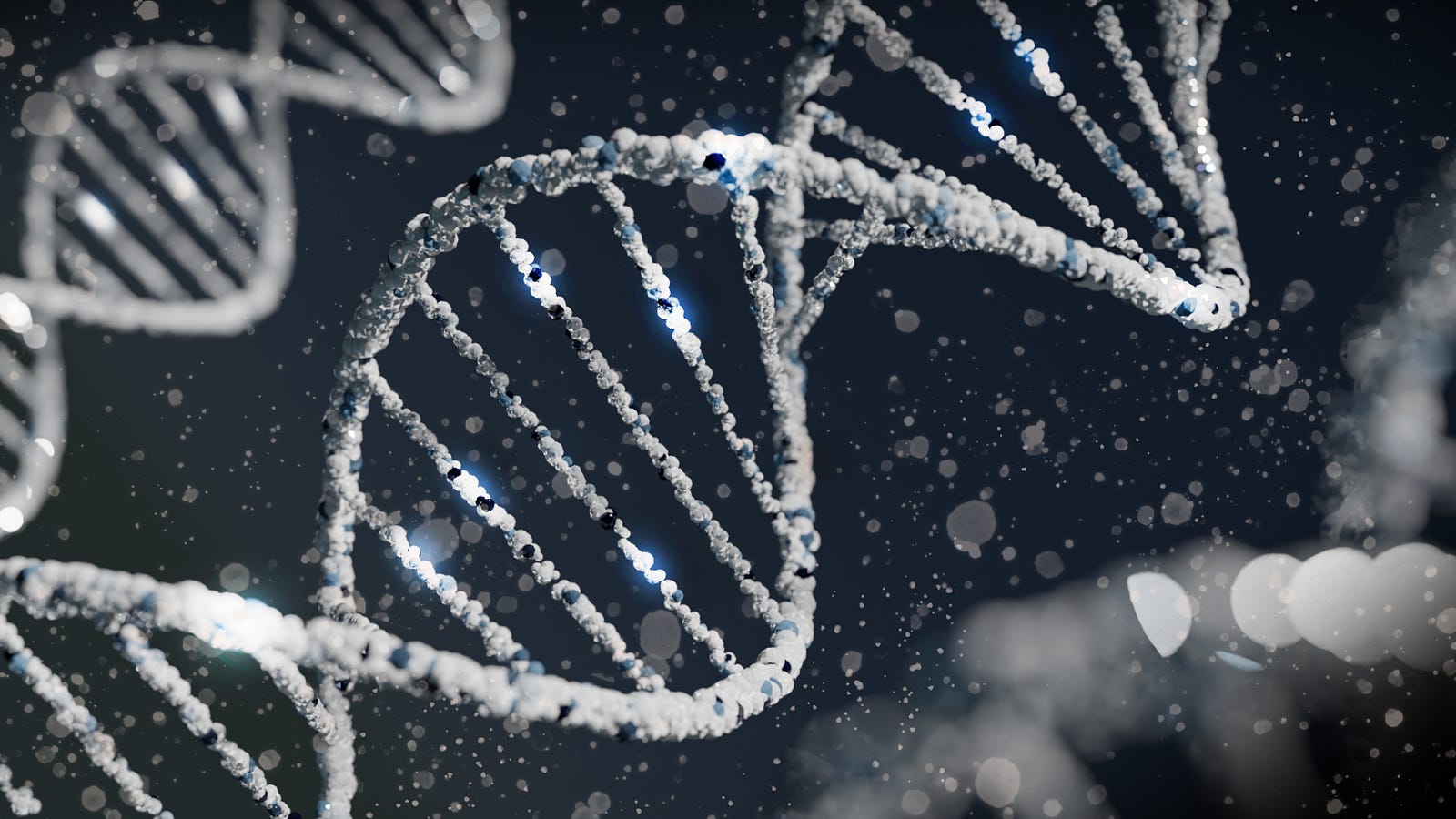 Black and white illustration of double stranded DNA, running diagonally from the lower left to the upper right. Exercise improves muscle fibers through epigenetic processes.