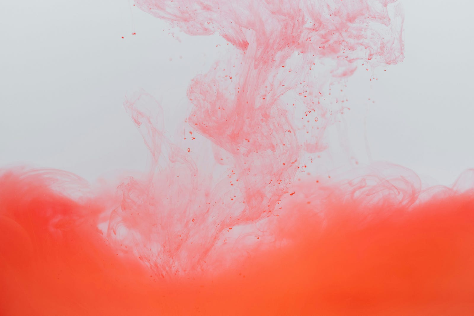 Pink blood.