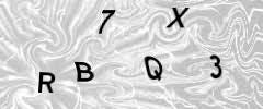 before_text_captcha