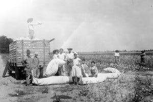 A group of migrant workers working next to a truck in a field.