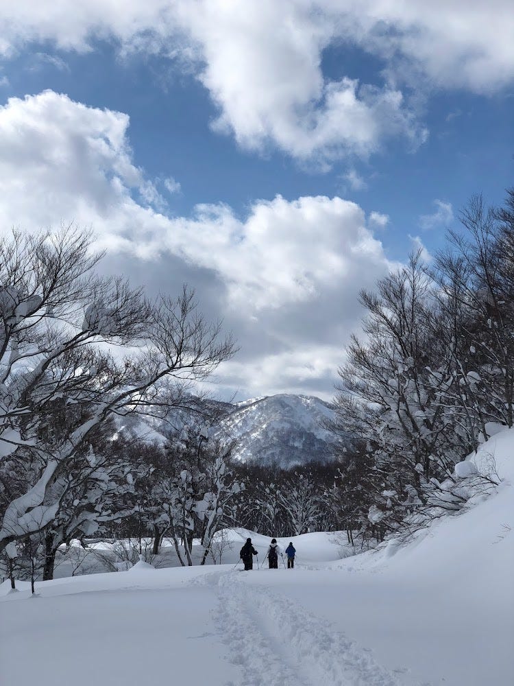 Snowshoe hiking in the snowy wonderland of Mt. Yudono
