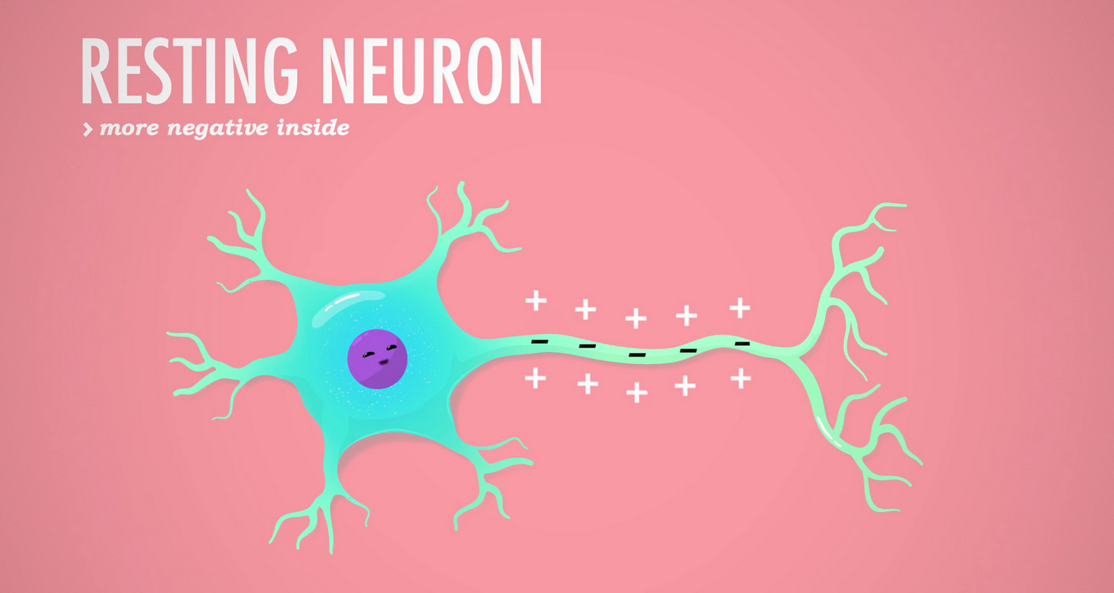 post-2-in-the-crash-course-series-on-how-the-nervous-system-works