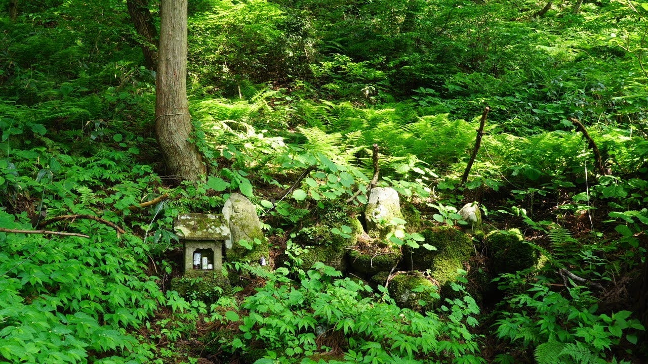 A few Hokora, tiny memorial statues, sit in the middle of the forested floor at Kamewari-yama’s Oku-no-in Inner Sanctum.