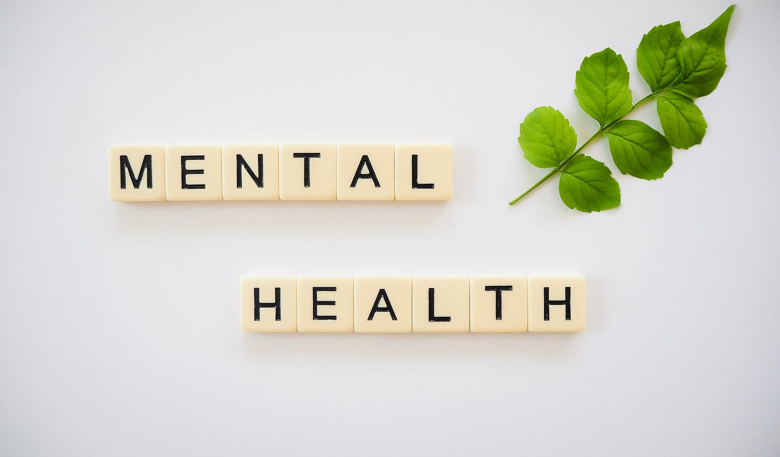 “MENTAL HEALTH” is spelled out in off-white tiles. A short twig holds eight leaves in the image upper right. Running can improve mental health.