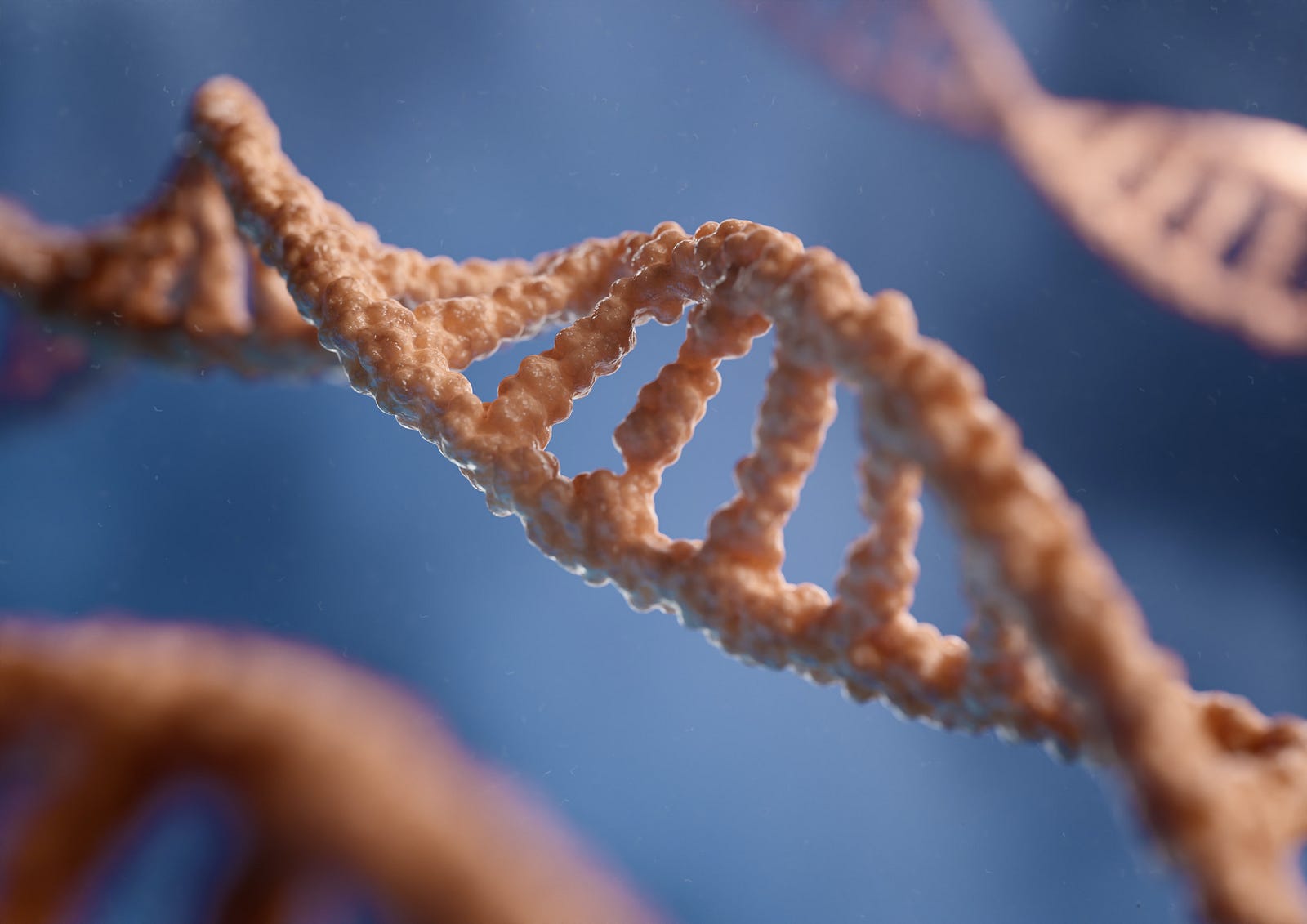 An illustration of a DNA strand. When you consume alcohol, your body breaks it down into the chemical acetaldehyde. Acetaldehyde can damage your DNA — our cell’s instruction manual — and stop your body from fixing the damage.
