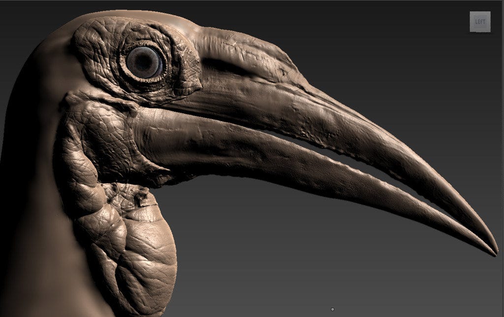 Photorealistic 3D model of “Southern Ground Hornbill” by Léandre Hounnaké