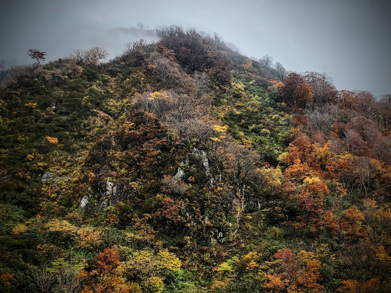 A cliff face with a spattering of autumn foliage and a small cave where those who became Sokushinbutsu, Living Buddha or Buddha Mummies, trained in Sen’ninzawa, The Swamp of Immortals, on Mt. Yudono