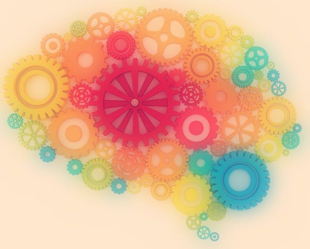brain2